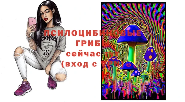 тгк Богородск