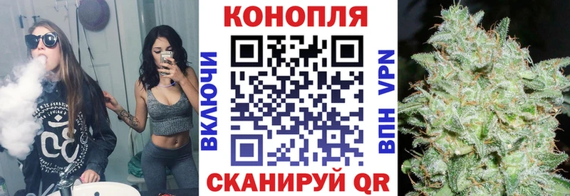 Бошки марихуана гибрид Великий Новгород